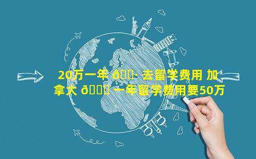 20万一年 🕷 去留学费用 加拿大 🐒 一年留学费用要50万